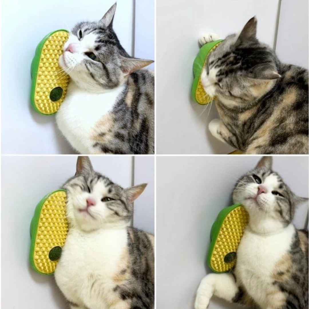 King Crown Pets™ | Cat Self-Service Groomer